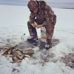 Meet your Posher, Joseph